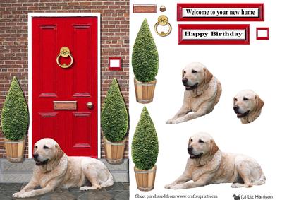 Golden Labrador with a Red Door