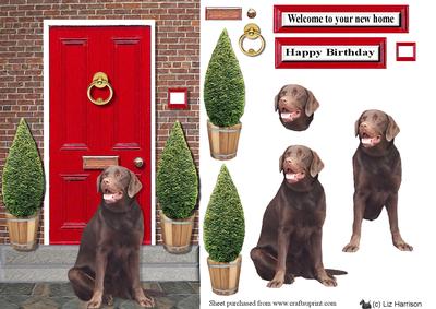 Chocolate Labrador with a Red Door
