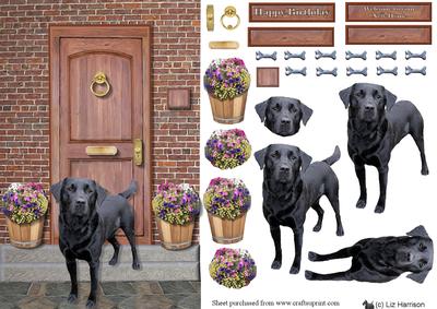 Black Labrador Door Step Scene