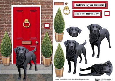 Black Labrador Retirever with a Red Door