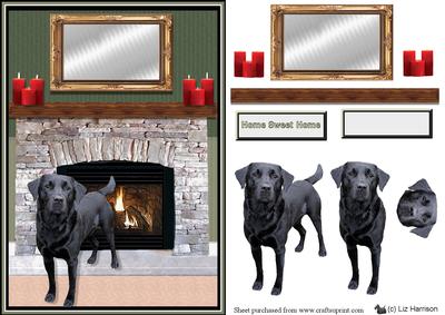 Black Labardor Fire Place Scene