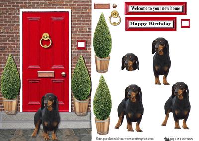 Dachshund with a Red Door