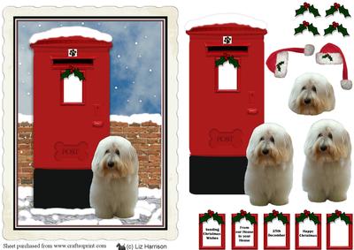 Coton De Tulear Christmas Post Box Scene