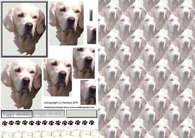 Golden Retriever Portrait Pyramid with Background