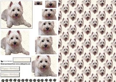 Westie Laid Pyramid with Background
