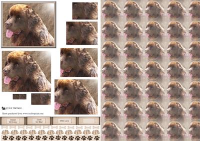 Chocolate Newfoundland Portrait Pyramid with Background