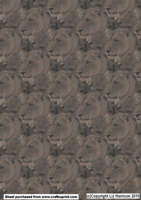 Lion & Lioness Vintage Style Portrait Background