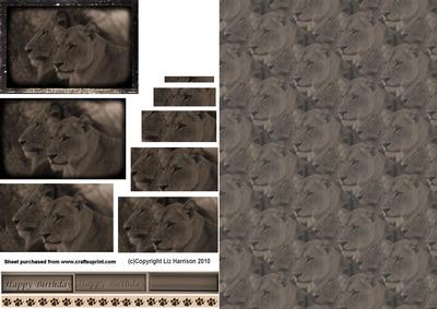 Lion & Lioness Vintage Style Portrait Pyramid with Background