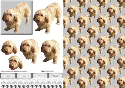 Petit Basset Griffon Vendeen 3D Decoupage & Background