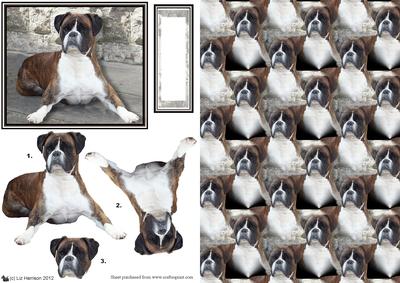 Boxer Dog Scene 3D Decoupage & Background