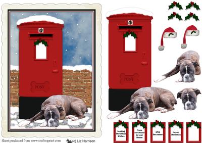 Boxer Dog Waiting Christmas Post Box