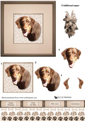 Doberman Dog,red, Portrait 3D Decoupage
