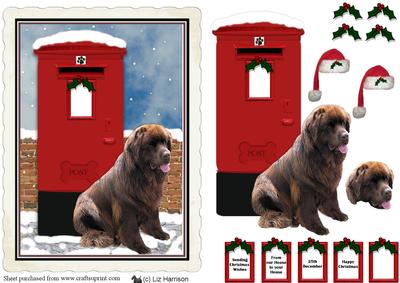 Newfoundland ,brown,christmas Post Box Scene