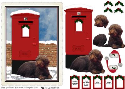 Spanish Water Dog Christmas Post Box Scene