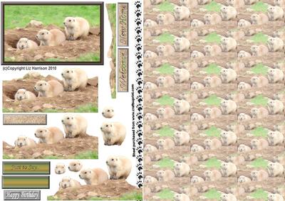 Gopher Group 3D Decoupage with Background
