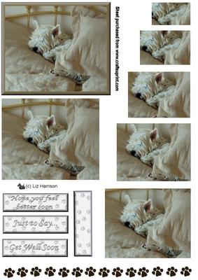 Westie Sleeping Pyramid