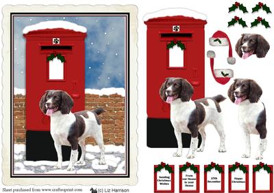 Springer Spaniel Christmas Post Box Scene