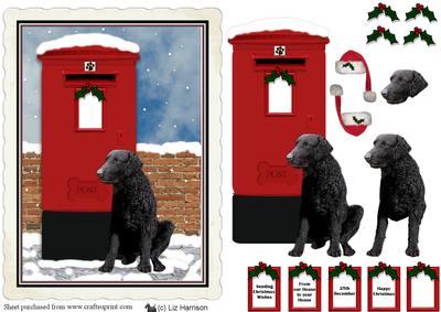 Curly Coated Retriever Christmas Post Box Scene