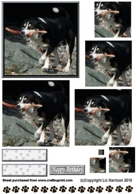 Happy Dog with Stick Pyramid