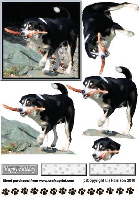 Happy Dog with Stick 3D Decoupage