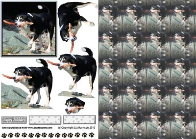 Happy Dog with Stick 3D Decoupage with Background