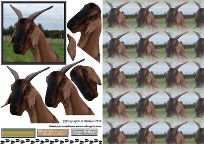Goat Smiling Portrait 3D Decoupage with Background