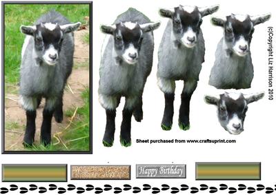 Kid, Baby Goat 3D Decoupage