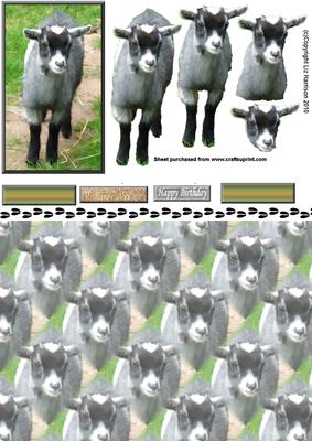 Kid, Baby Goat 3D Decoupage with Background