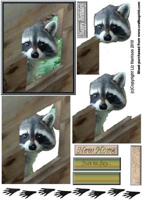 Raccoon Peeping 3D Decoupage