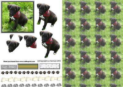 Cute Puppy 3D Decoupage with Background