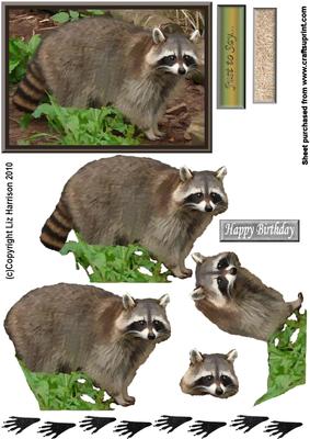 Raccoon 3D Decoupage