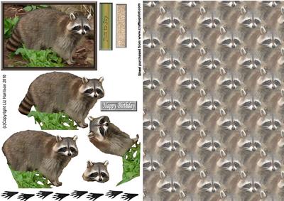 Raccoon 3D Decoupage with Background