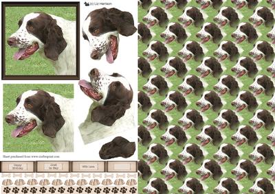 Springer Spaniel Portrait 3D Decoupage with Background