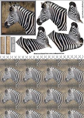 Zebra Portrait 3D Decoupage with Background
