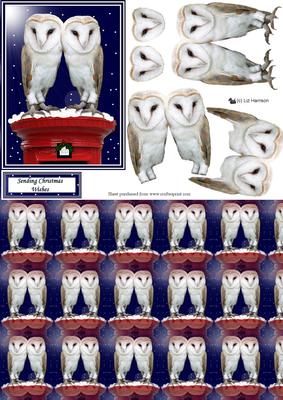 Barn Owl Pair Christmas Post Box 3D Decoupage & Background