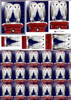 Barn Owl Pair Christmas Post Box Pyramid & Background