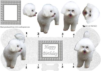 Bichon Frise 3D Decoupage Bone Shaped Card