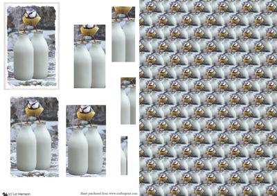 Bluetit & Milk Bottle Scene Pyramid and Background