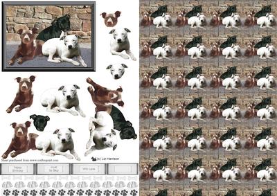 Staffordshire Bull Terrier Trio 3D & Background