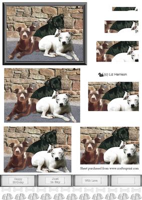 Staffordshire Bull Terrier Trio Pyramid