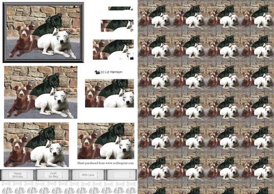 Staffordshire Bull Terrier Trio Pyramid & Background