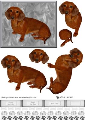 Dachshund 3D Decoupage