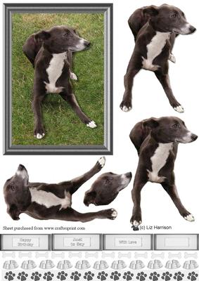 Whippet Scene 3D Decoupage