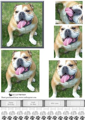 Happy Bulldog Pyramid