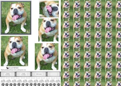 Happy Bulldog Pyramid with Background