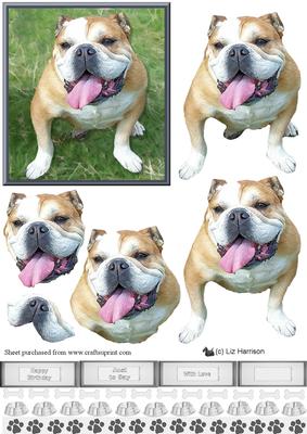 Happy Bulldog 3D Decoupage