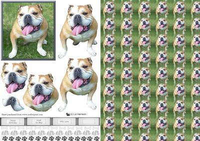 Happy Bulldog 3D Decoupage with Background