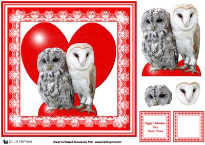 Romantic Barn & Tawny Owls 8 x 8 Decoupage Card Sheet