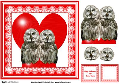 Romantic Great Grey Owls 8 x 8 Decoupage Card Sheet