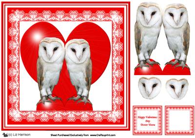 Romantic Barn Owls 8 x 8 Decoupage Card Sheet